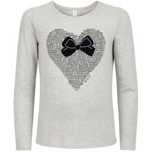 Girls&rsquo; long sleeve top Reporter Young 133-42G-97-119 grey, 146