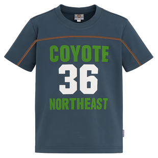 T-shirt for boy Wojcik Chlopak blue, 140