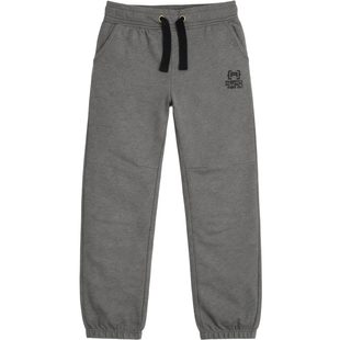 Sports pants for boys Reporter Young 133-10B-90-120 grey, 152