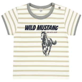 Футболка для хлопчика Wojcik Dziki Mustang смужка 2012 ЛХЛМ фото